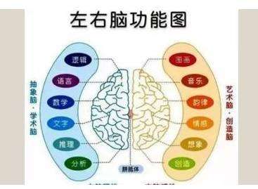 经颅磁刺激技术_脑萎缩有什么康复训练方法 